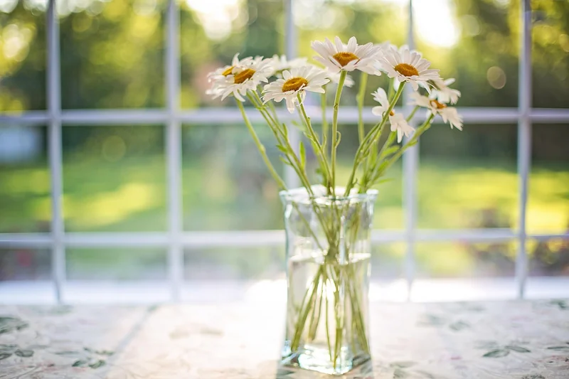 Comment remplacer un vase d’expansion : le guide pas à pas